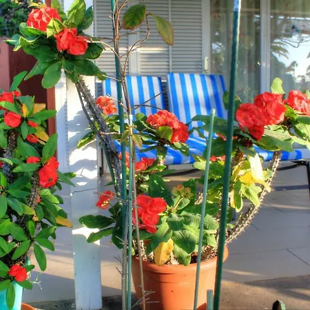 Bungalows Los Melocotones Maspalomas  Exterior foto